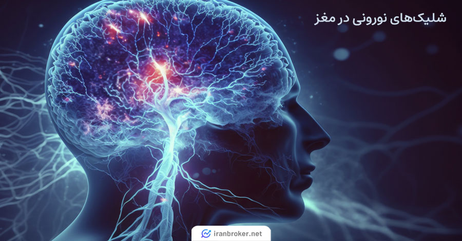 شلیک نورونی در مغز